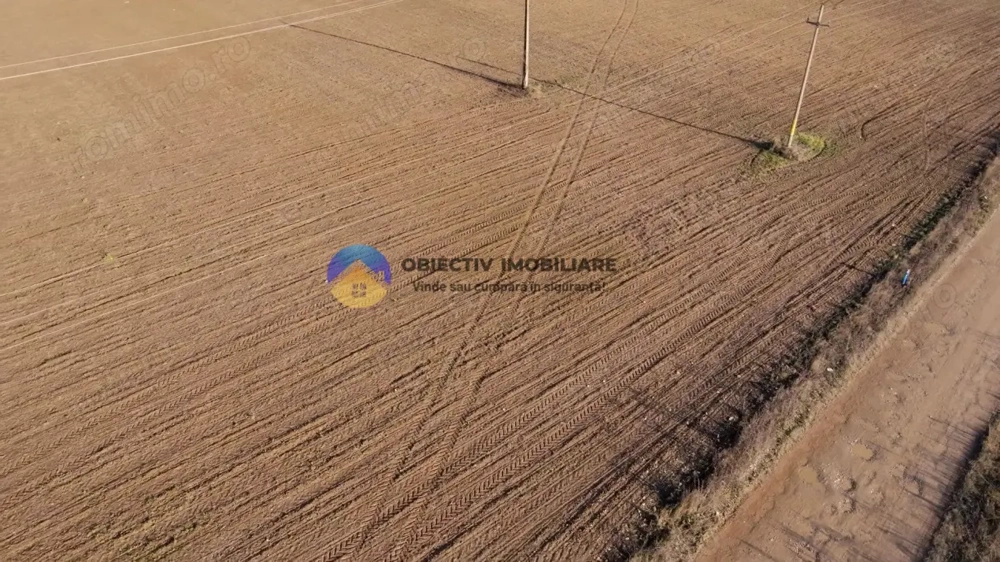 Teren investiție intravilan 3600 mp – Dumbrava Roșie