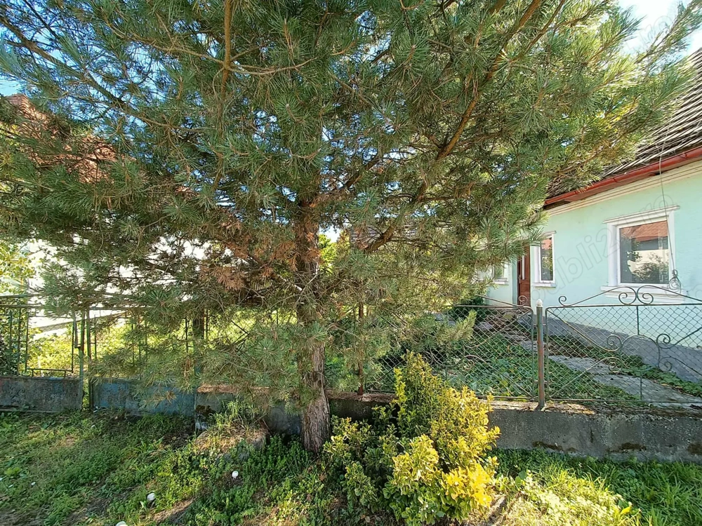 Vânzare casă + teren 30 ari   Cătălina