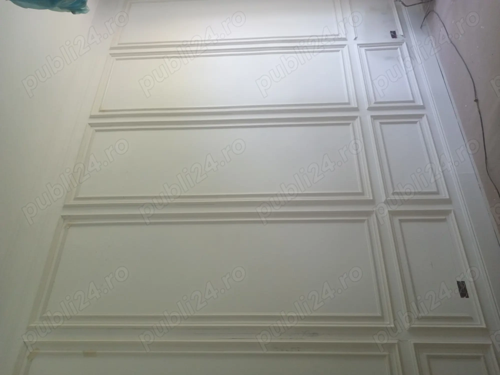 Meseriaș din Timisoara 