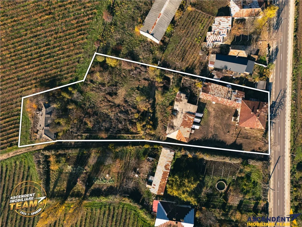 FILM! Casa boieresca autentica,domeniu de 4.000 mp intravilan,in podgoriile Odobesti,Vrancea