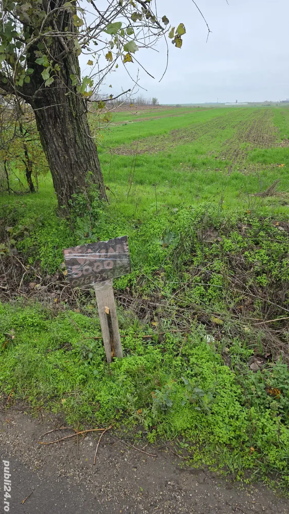 Teren intravilan Calugareni, jud. Giurgiu