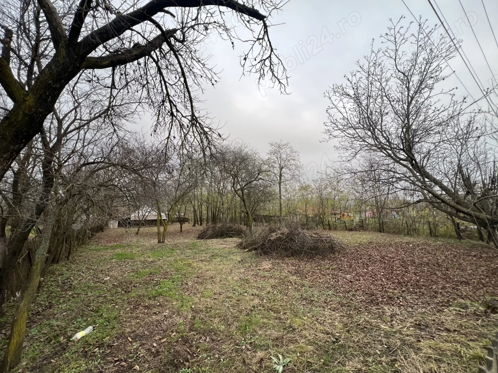 Vând teren intravilan 1270 mp în loc Sarata - Mihalaseni 