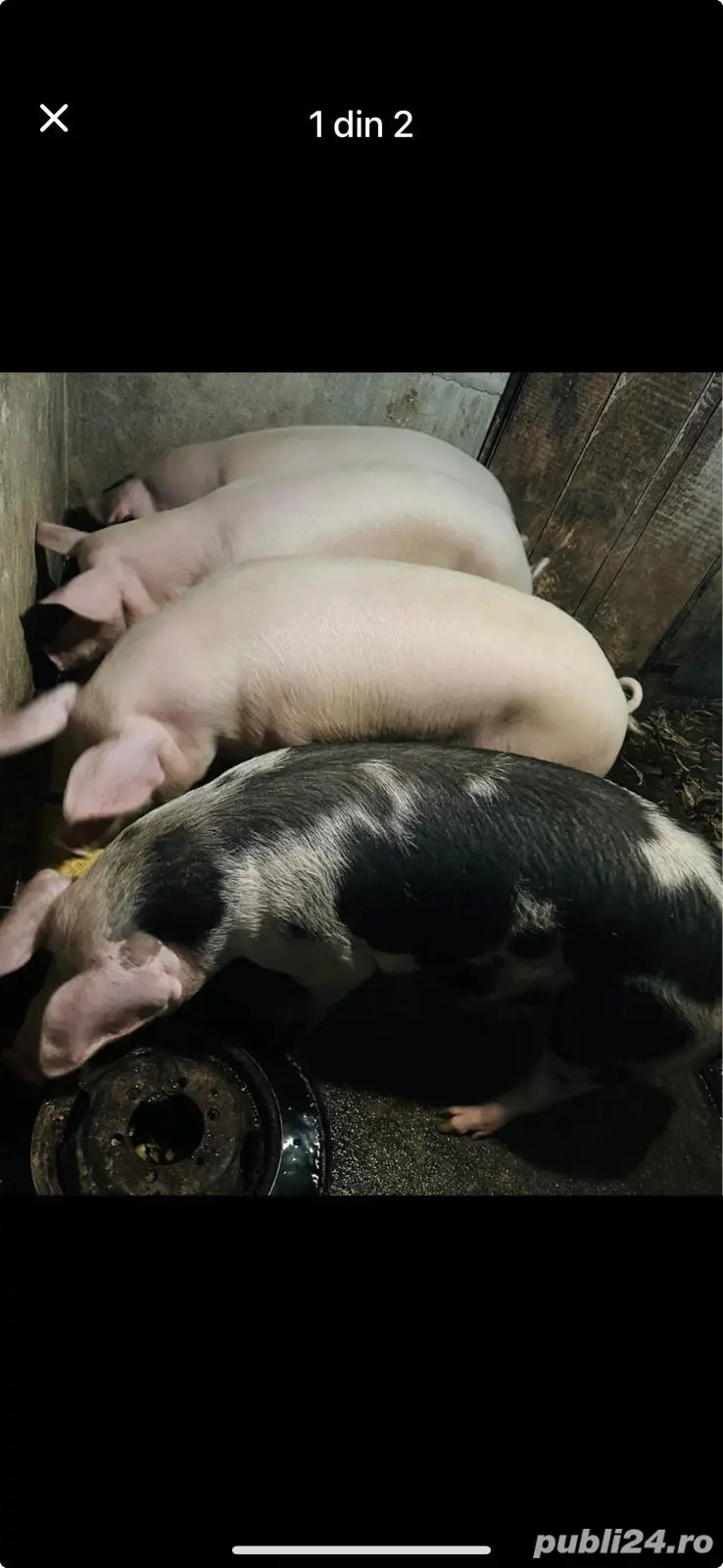 mai multe detalii la nr de telefon   