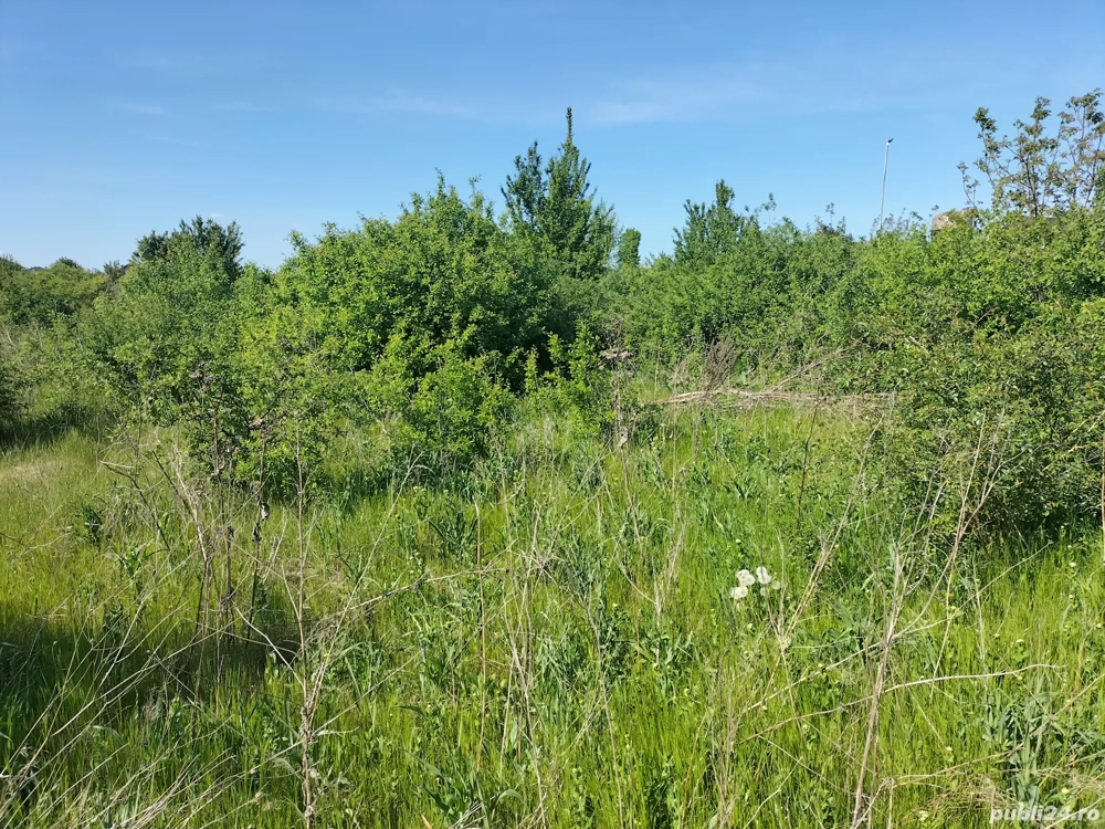 Teren 2500 mp,la 450 m de Rond Pacurari,Valea Lupului 