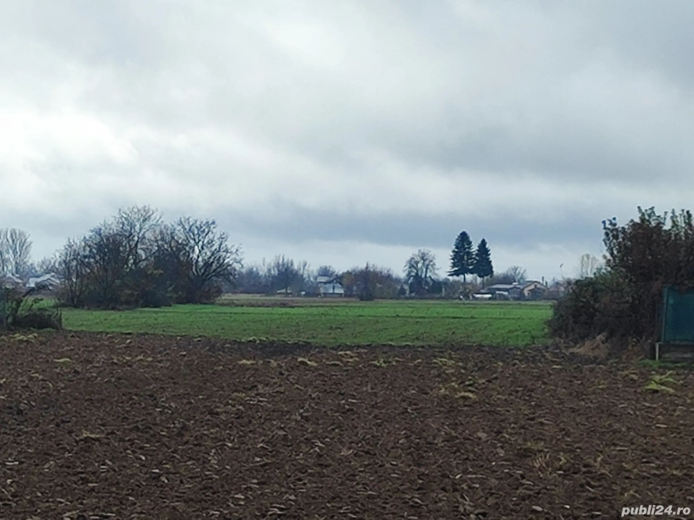 Teren 10000 mp, oportunitate invetitie parc fotovoltaic, infiintare cultura zmeur, afin, mur