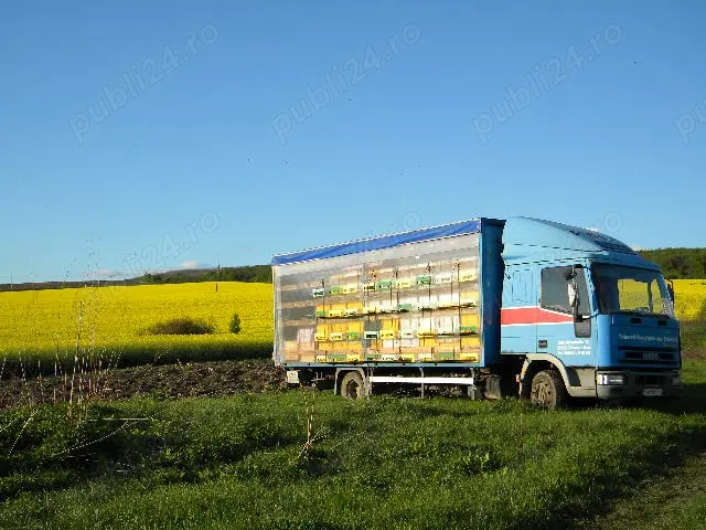 Vand camion apicol, 72 lazi orizontale, 19 rame