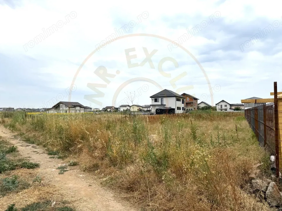 Teren Intravilan pe Strada Bega/Com. Berceni – Locația Perfectă pentru Casa Ta