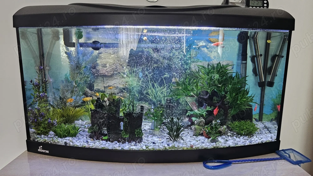 Acvariu 80 litri