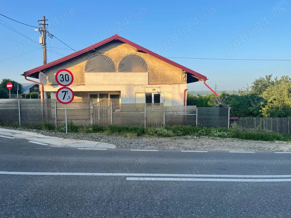 Casa de vanzare Probota 