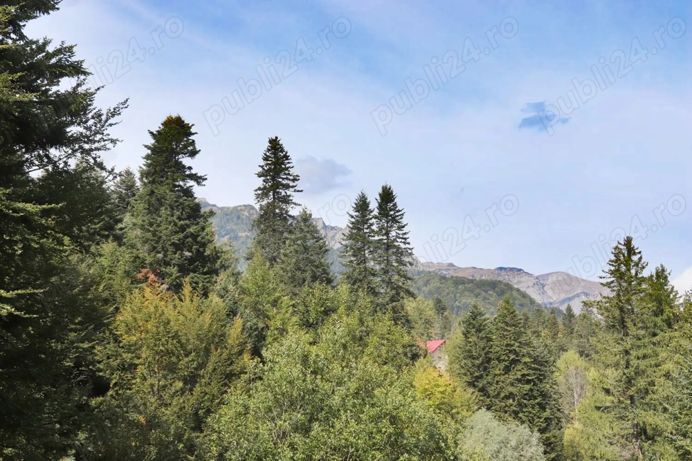 Teren intravilan  de vanzare Sinaia- Furnica