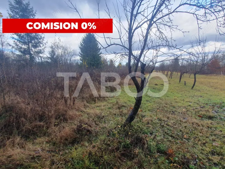 Teren extravilan 1000 mp Statiunea Climaterica Sambata de Sus