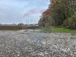 Teren Vladiceasca / Soseaua Vladiceasca 1109 mp Liziera Padurii