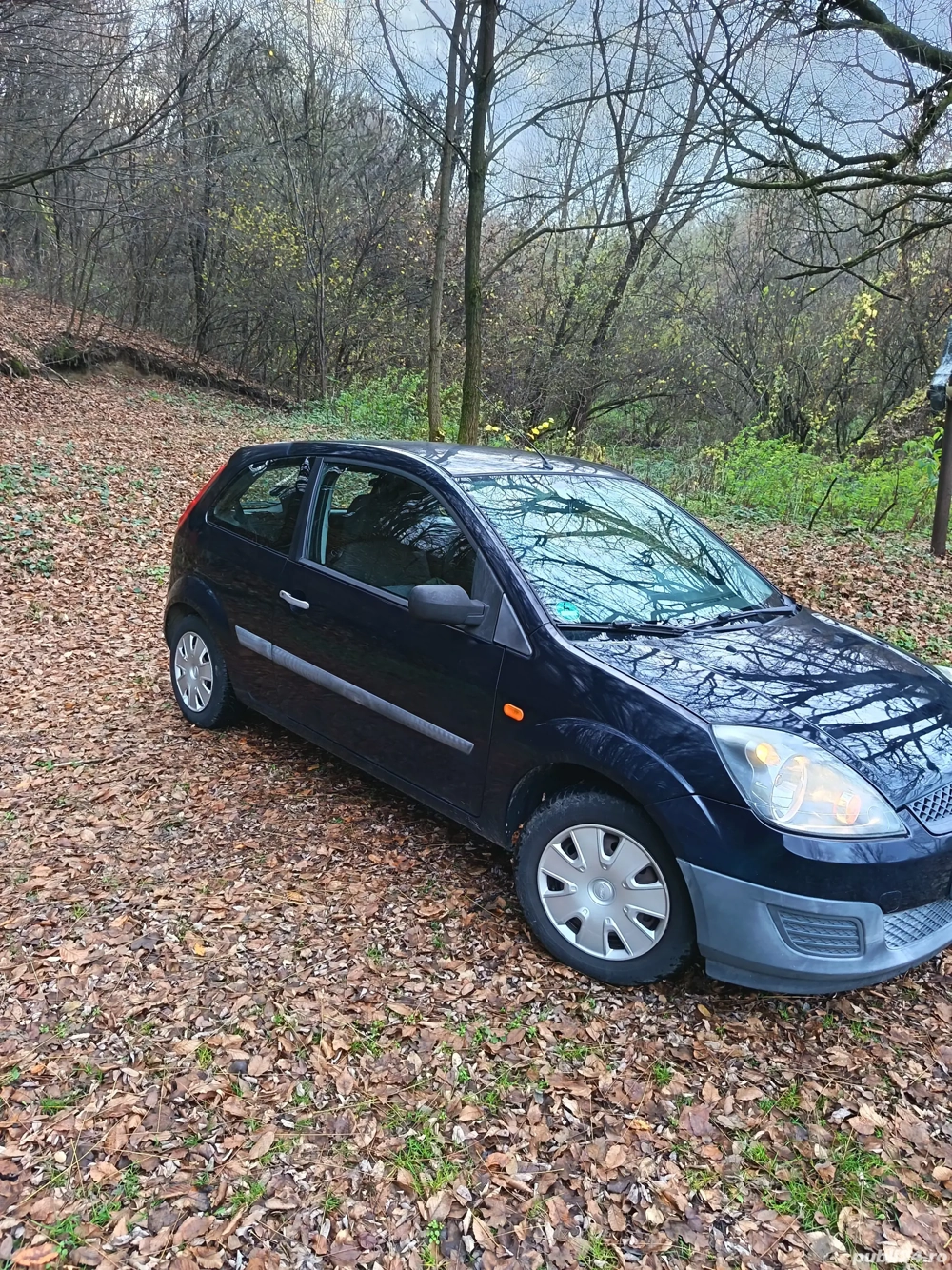 ford fiesta 1.3cmc euro 4