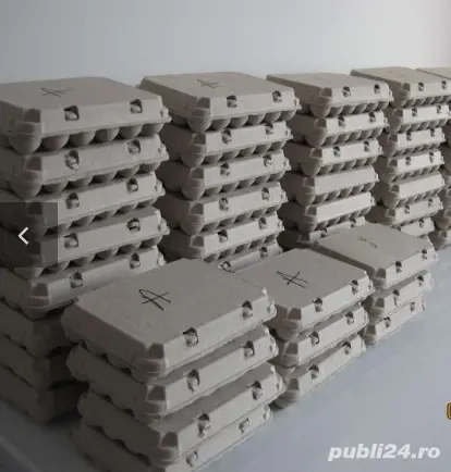 CASEROLE pentru 10 ouă 