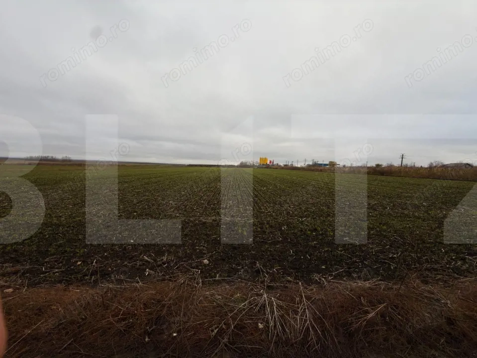 Teren intravilan Catamarasti-Deal 5000mp