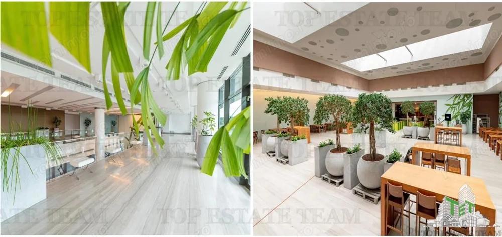 Spatiu de Birouri de 494 mp in Zona Baneasa