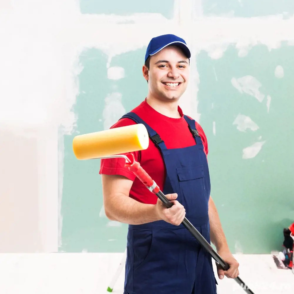 zugraveli profesionale