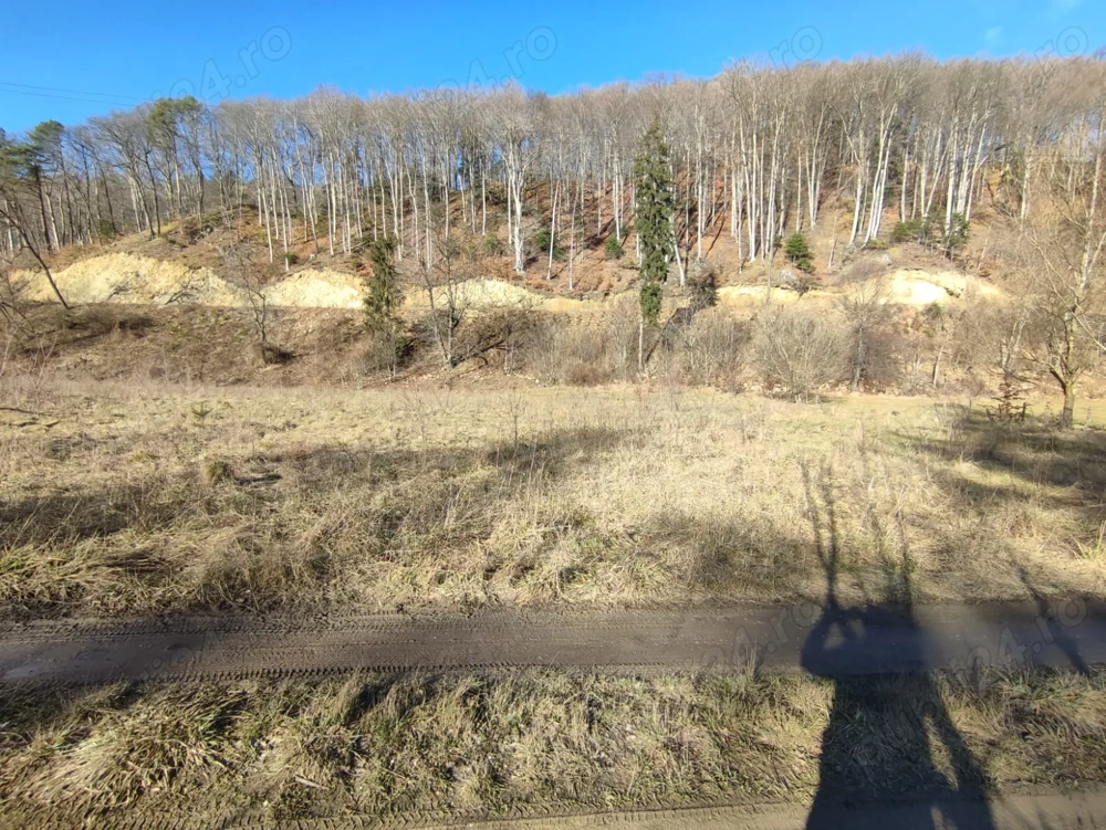 Teren Intravilan de 1150m în zona Timișu de Jos, preț negociabil