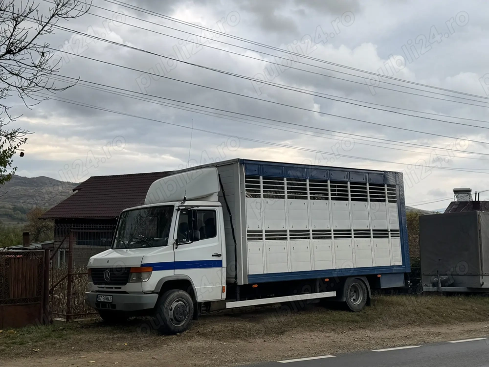 Transport Animale certificat