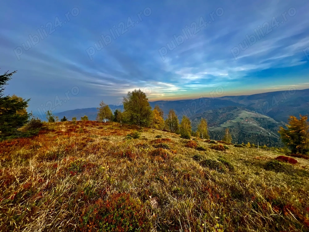 Teren de vanzarea la munte