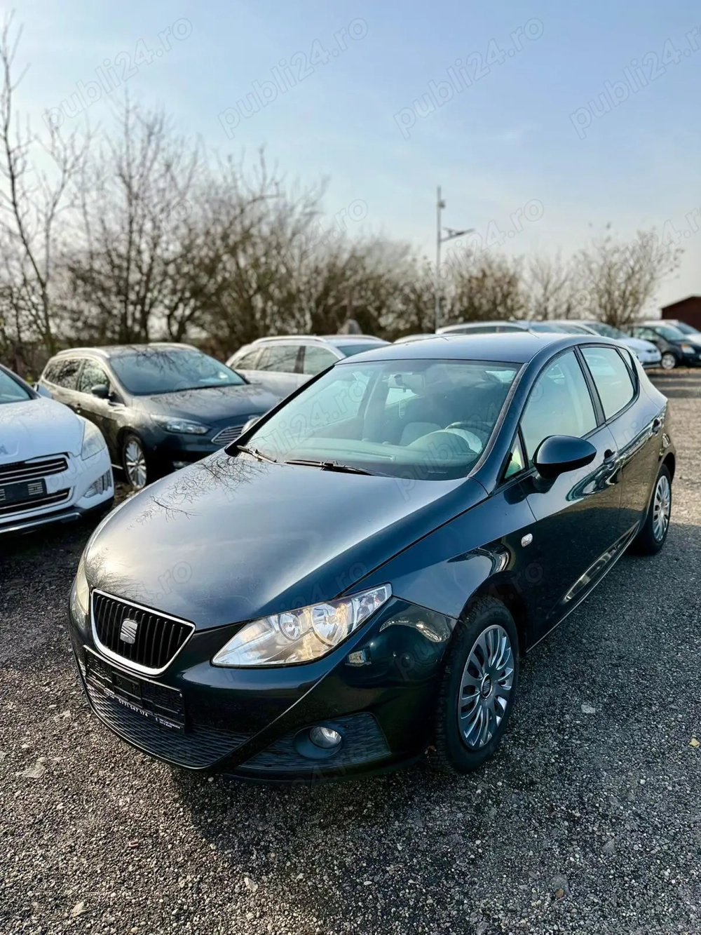 Seat Ibiza 2010 1.4 diesel consum 4%