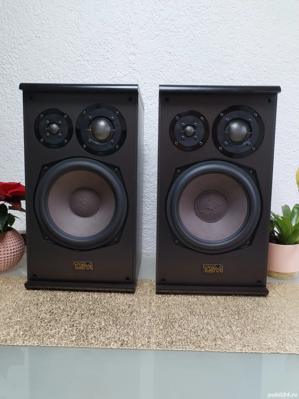 Vând set de boxe de TSM hifi 