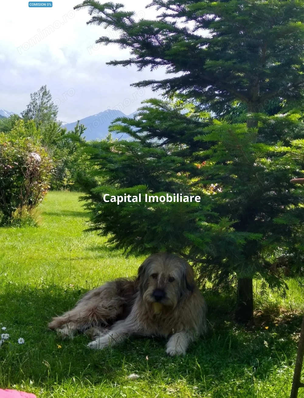 House for sale, 5 Rooms, 180 sqm, Valea Dejani