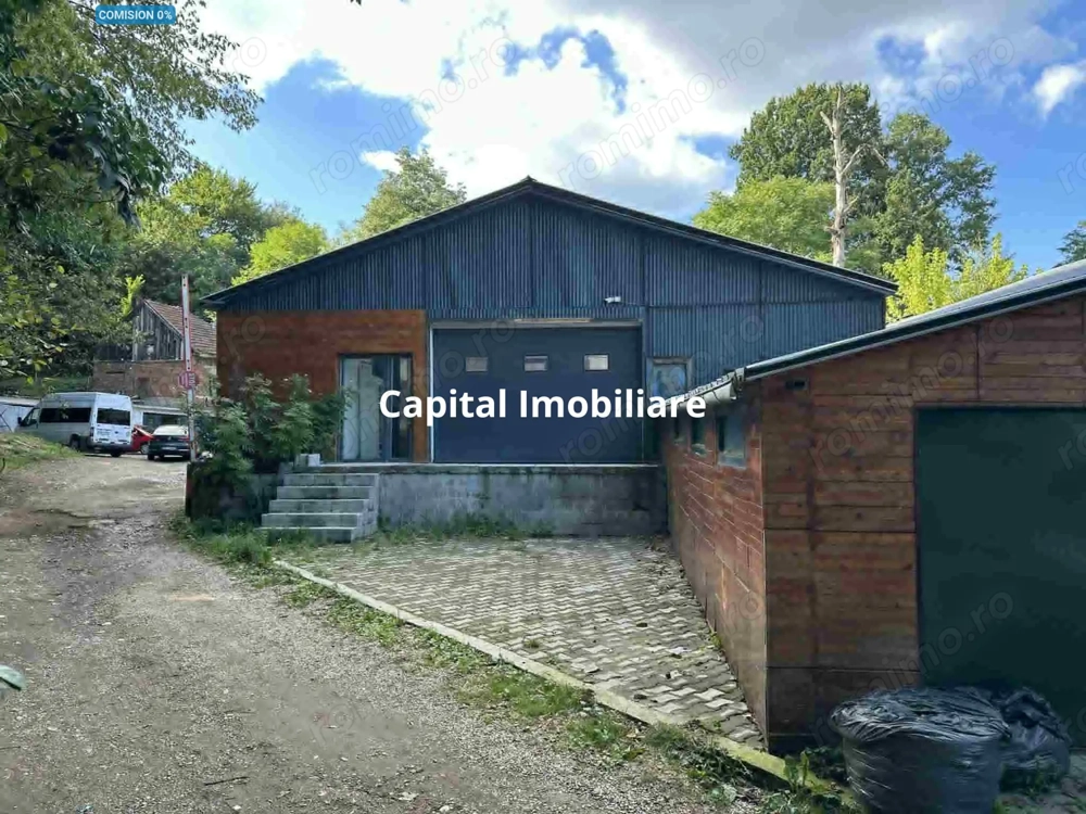  Hale de vanzare pe drumul Lupacului