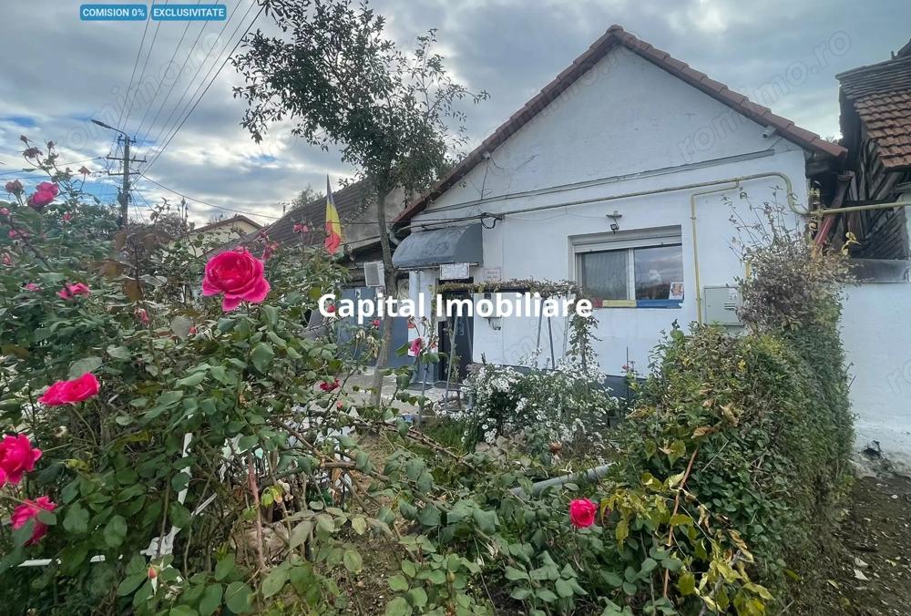 Casa cu garaj in Calnic, 231 mp construiti