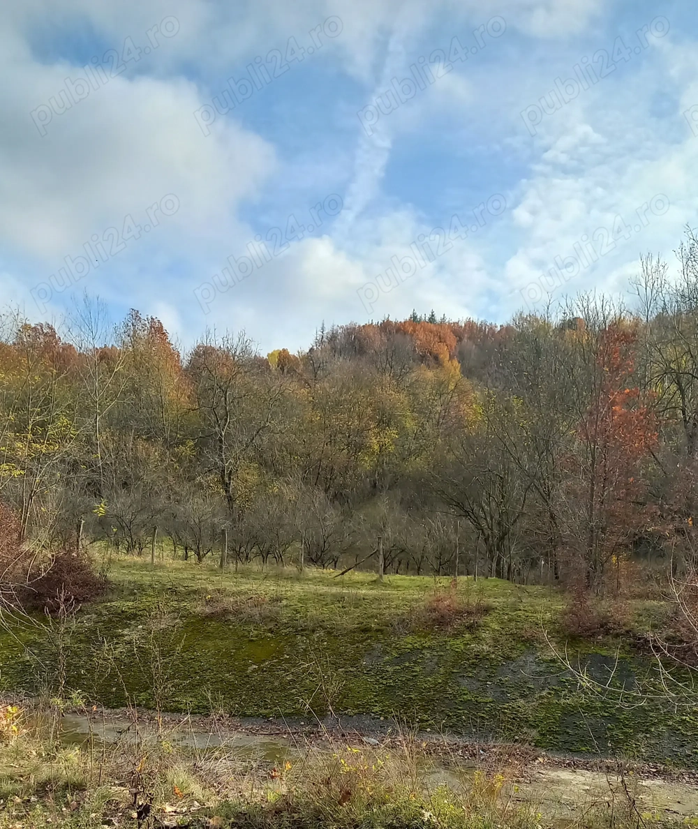 Vând  teren extravilan !