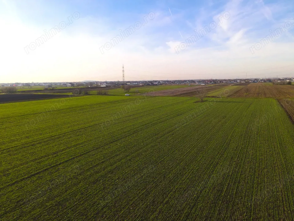 Teren Investitional 1,24 ha Com Berceni | deschidere 42ml | #CG28