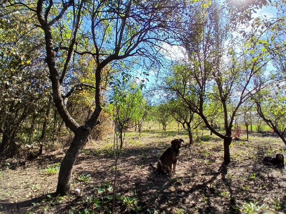 Parcela Teren Intravilan 
