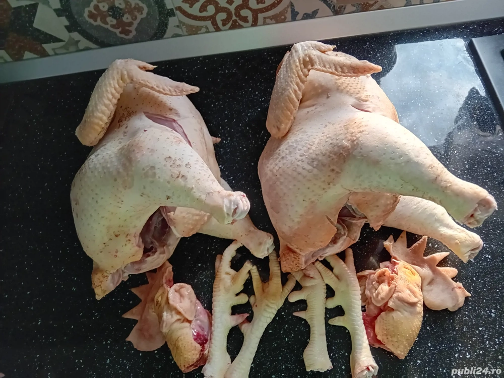 Găini cocoși carcasă 
