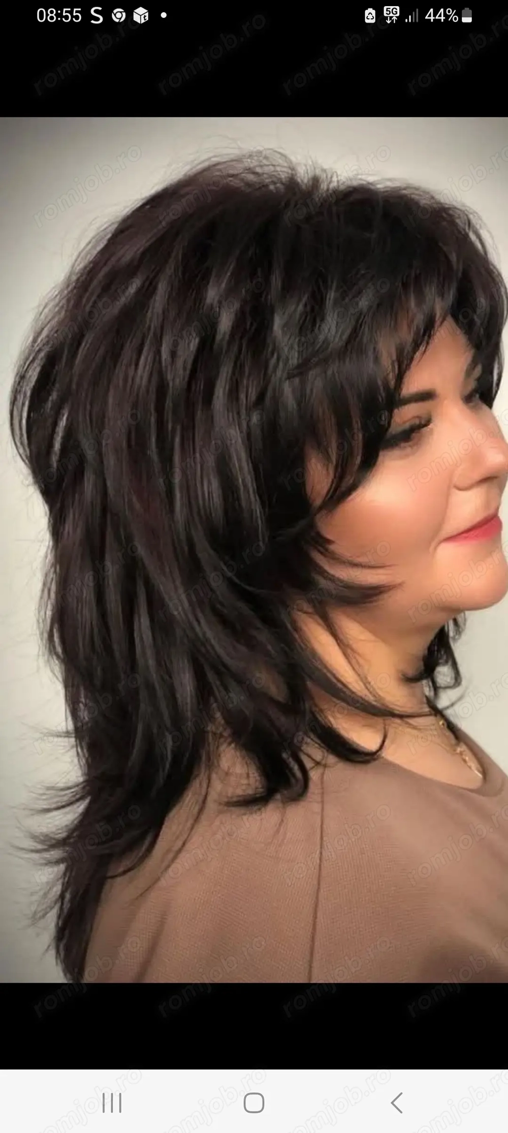 Servicii Menaj,calcat,gatit.Zona Pantelimon,sos Cernica si Buc