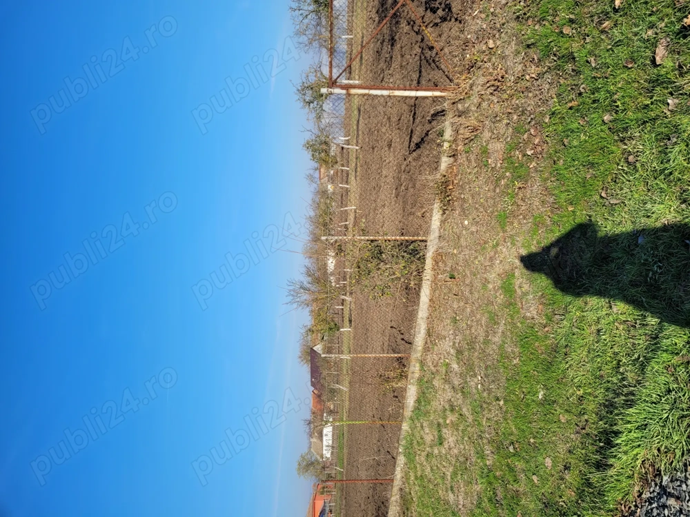 Vând teren intravilan în Sânpetru Mare jud.Timiș 