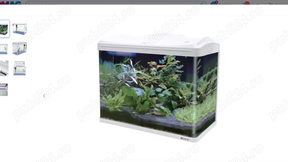 Acvariu boyu 60 litri 