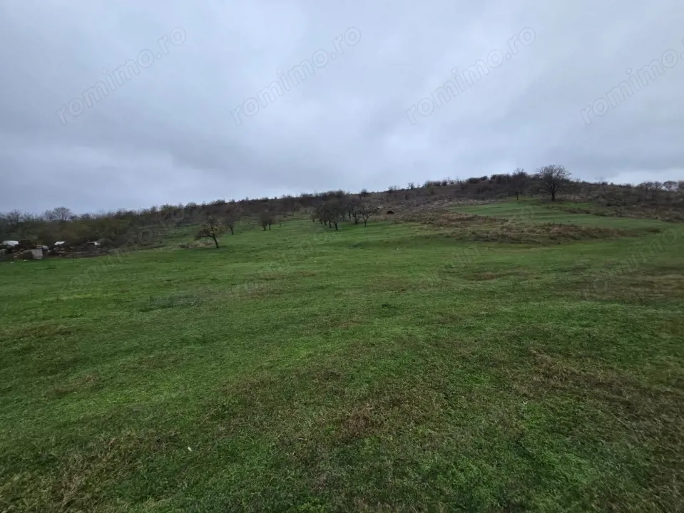 Teren  10 hectare Recea