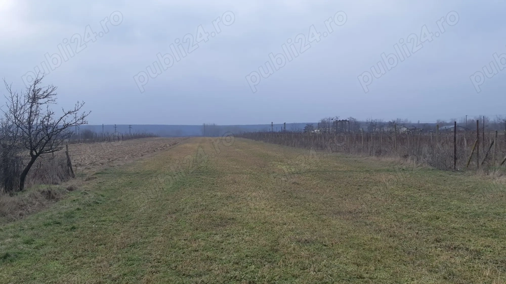 Teren 10.000 mp si casa in Stolinici Arges