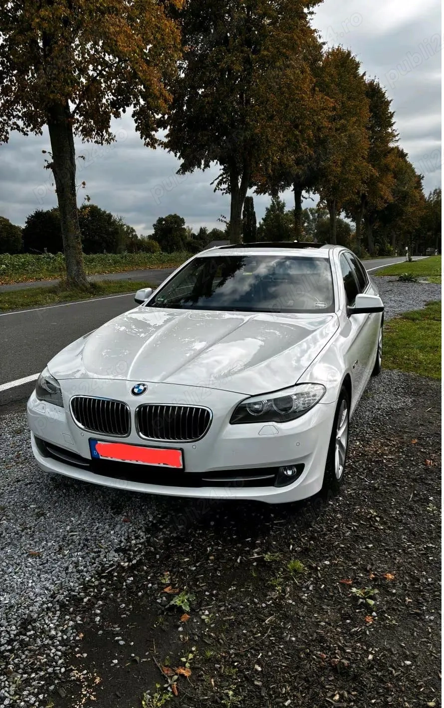 Vand BMW F10 520d Automat - 2013