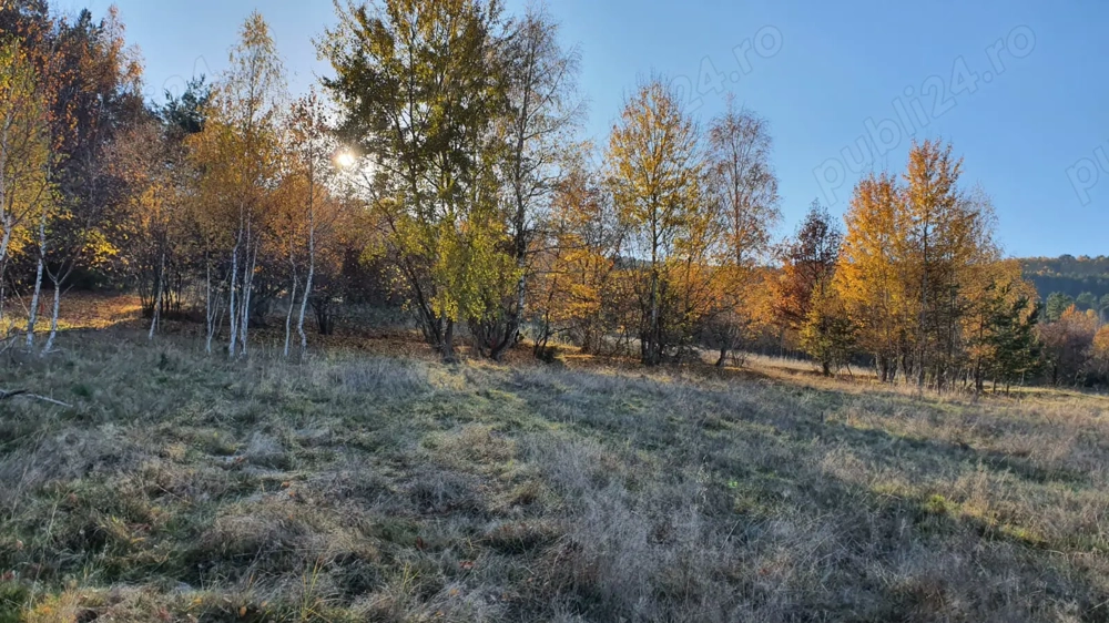 Vand 1300 mp teren intravilan in Lisnau Vale