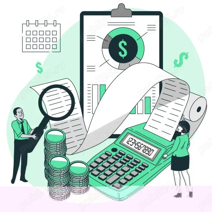 Evidenta financiar contabila 