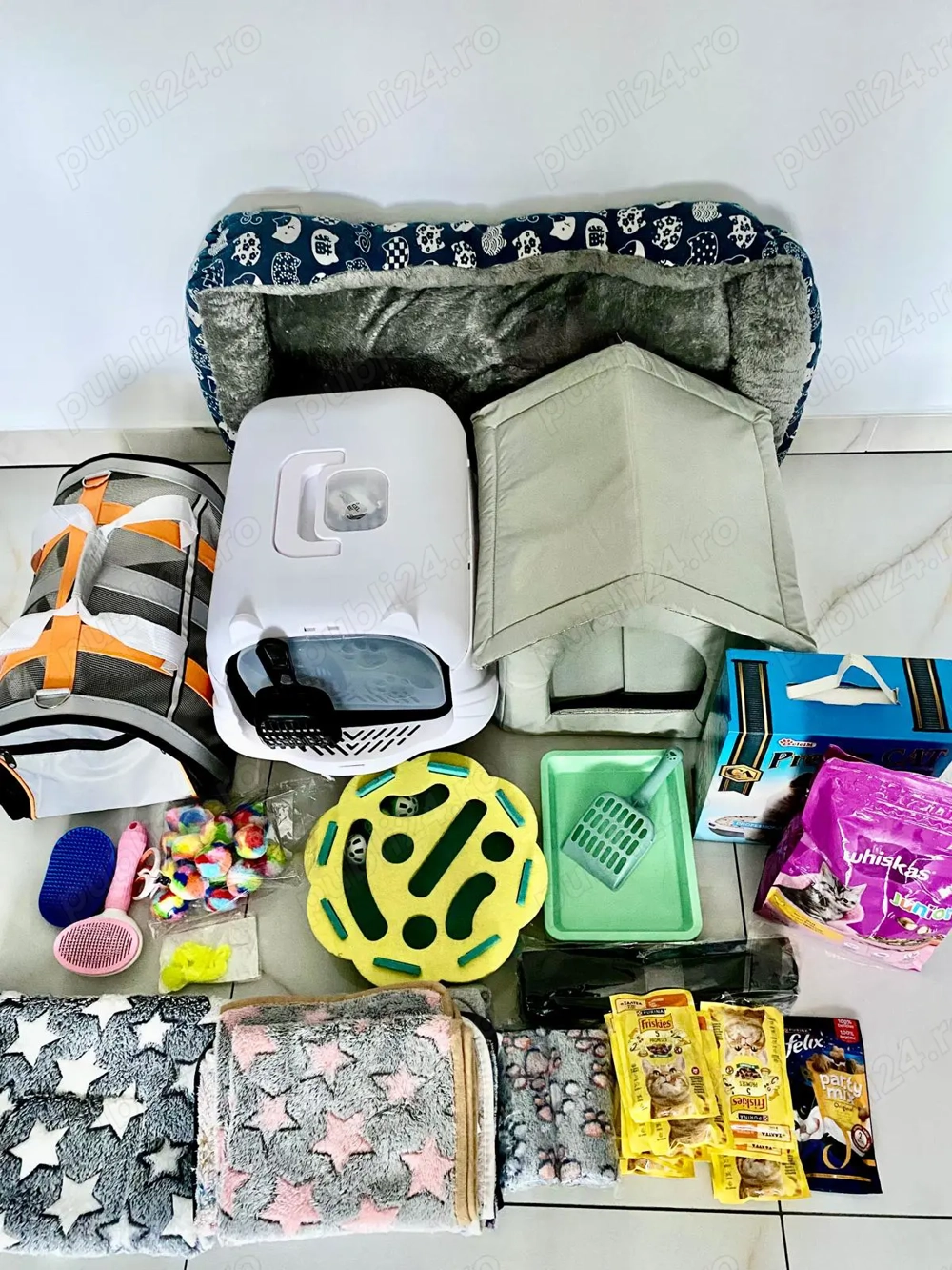 Kit de pisici tinere si adulte de vanzare