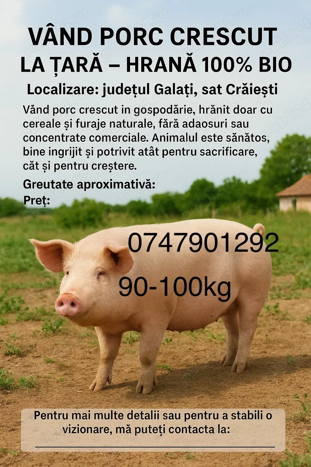Porc de vânzare 