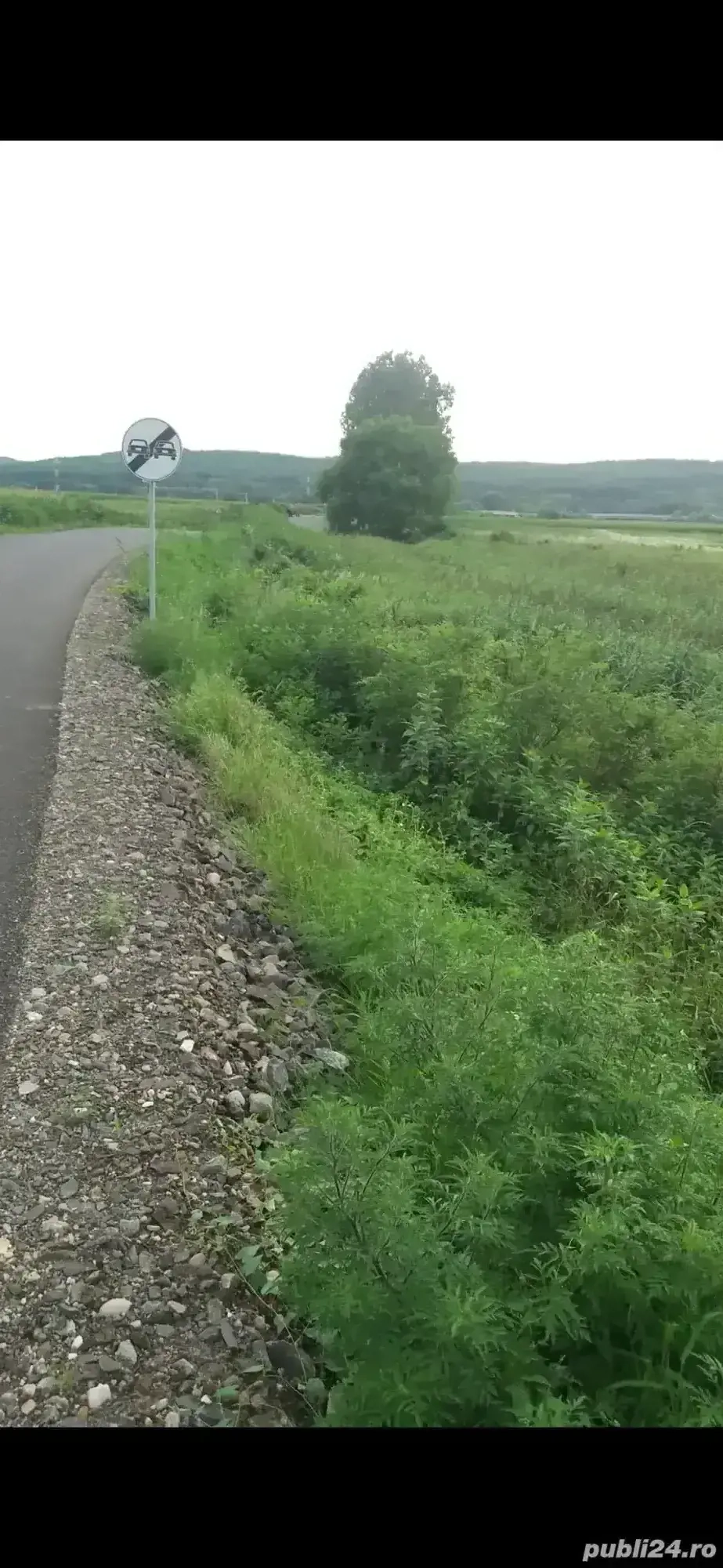 Arendez teren 1,20 hectar la pod Ardusat