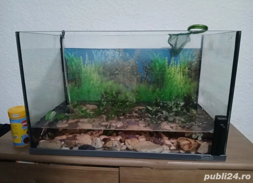 Acvariu 60 L - cu toate accesoriile incluse 