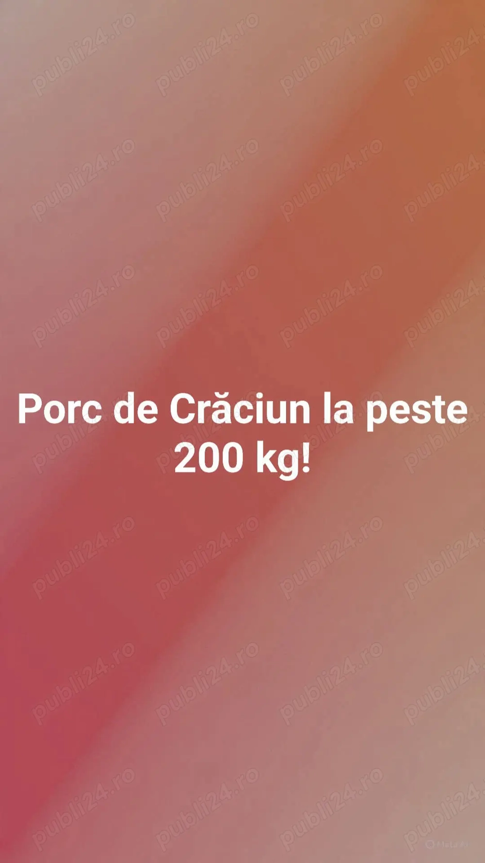Porc la peste 200kg