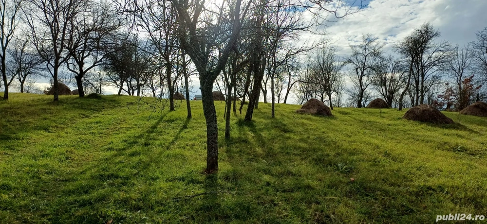 Vând teren intravilan