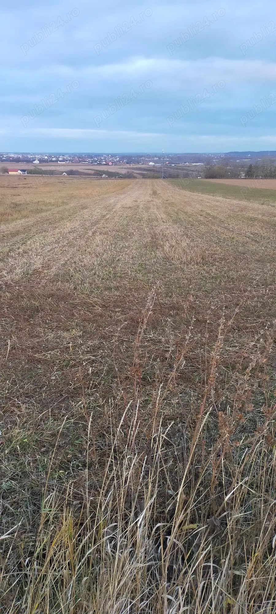 Vînd teren loc de casa 5556mp 16,5 latime 300m lungime