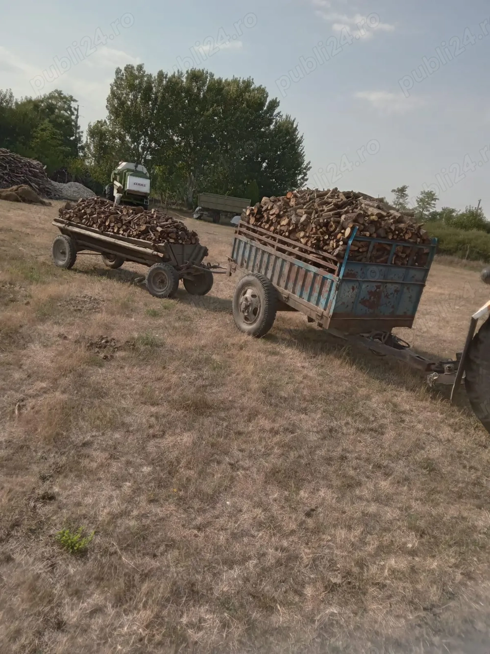 Vand lemne sau schimb cu cereale