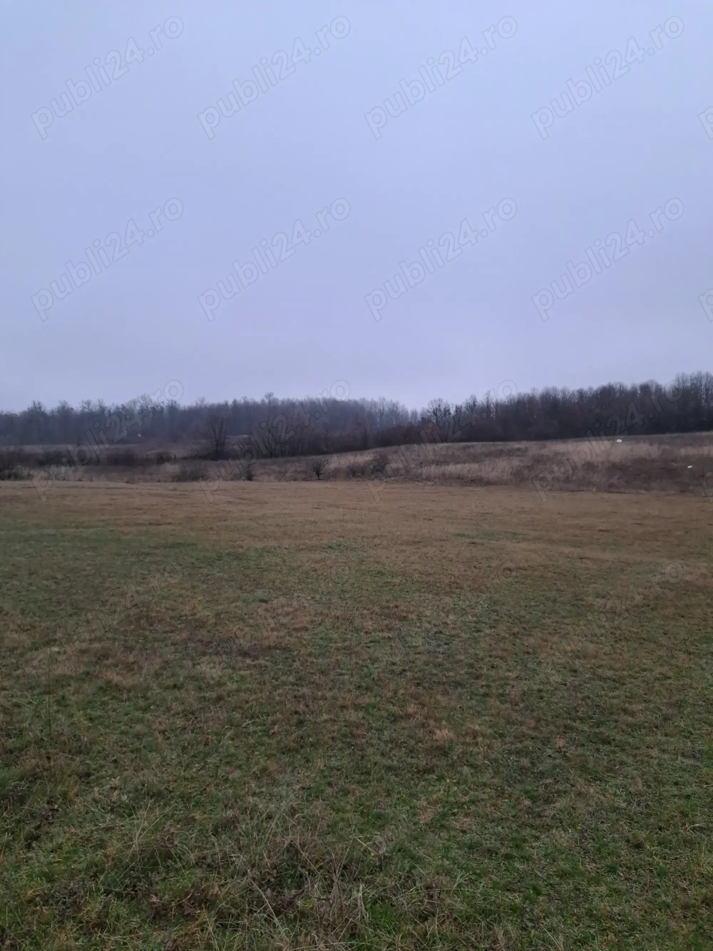 Vând teren extravilan-comuna Crasna-Gorj-10912 mp